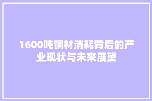 1600吨钢材消耗背后的产业现状与未来展望