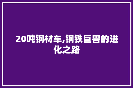 20吨钢材车,钢铁巨兽的进化之路