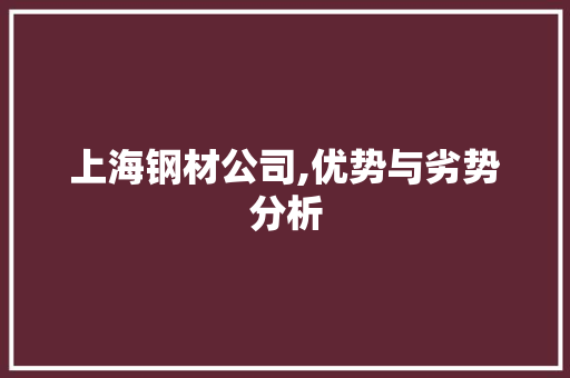 上海钢材公司,优势与劣势分析