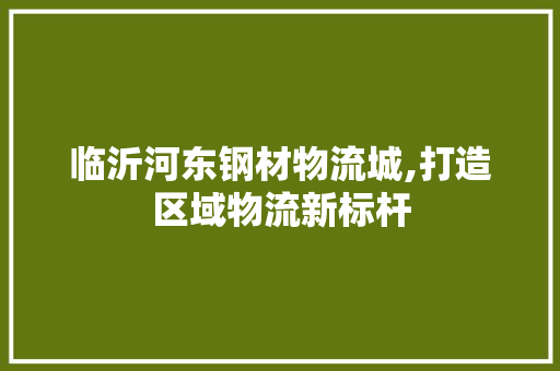 临沂河东钢材物流城,打造区域物流新标杆