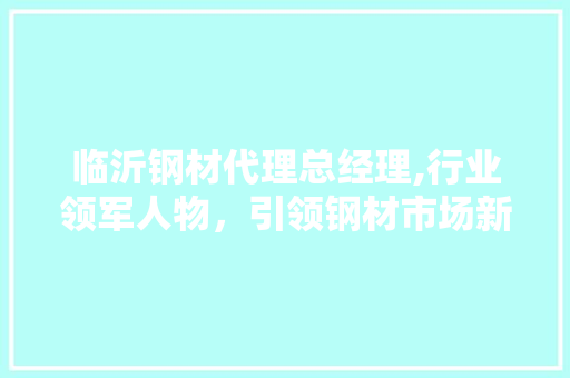 临沂钢材代理总经理,行业领军人物，引领钢材市场新风向