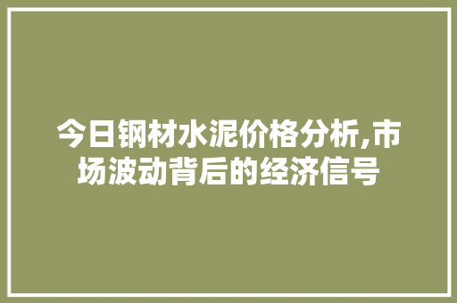 今日钢材水泥价格分析,市场波动背后的经济信号