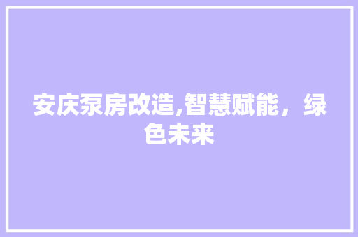 安庆泵房改造,智慧赋能，绿色未来