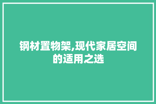 钢材置物架,现代家居空间的适用之选