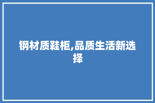 钢材质鞋柜,品质生活新选择