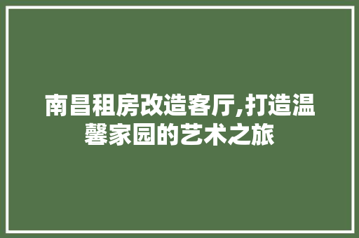 南昌租房改造客厅,打造温馨家园的艺术之旅