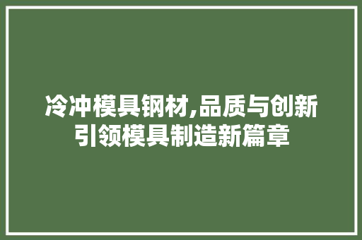 冷冲模具钢材,品质与创新引领模具制造新篇章