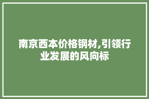 南京西本价格钢材,引领行业发展的风向标