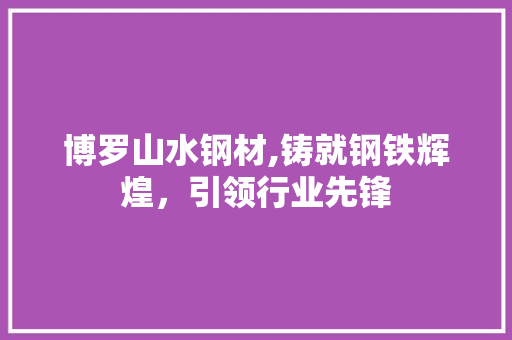 博罗山水钢材,铸就钢铁辉煌，引领行业先锋