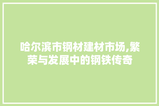 哈尔滨市钢材建材市场,繁荣与发展中的钢铁传奇