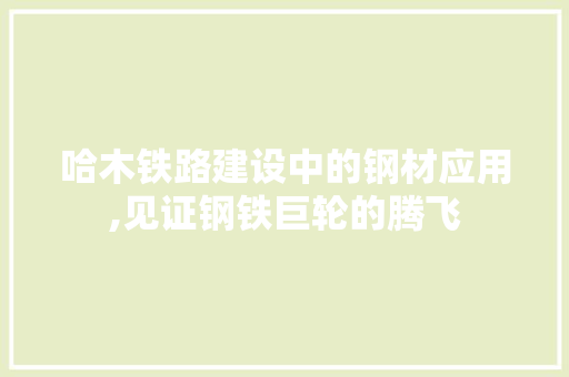 哈木铁路建设中的钢材应用,见证钢铁巨轮的腾飞