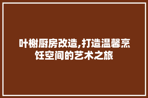 叶榭厨房改造,打造温馨烹饪空间的艺术之旅