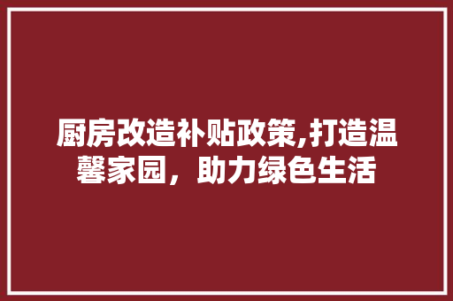 厨房改造补贴政策,打造温馨家园，助力绿色生活