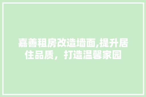嘉善租房改造墙面,提升居住品质，打造温馨家园