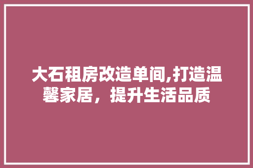 大石租房改造单间,打造温馨家居，提升生活品质
