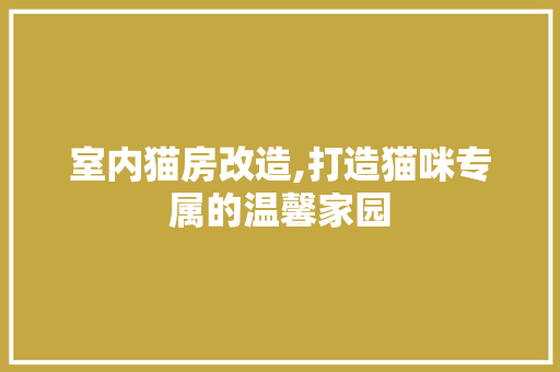 室内猫房改造,打造猫咪专属的温馨家园