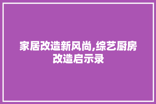 家居改造新风尚,综艺厨房改造启示录
