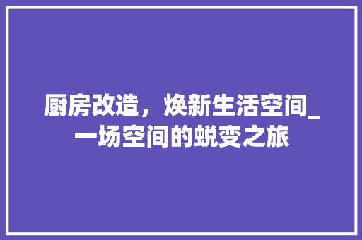 厨房改造，焕新生活空间_一场空间的蜕变之旅