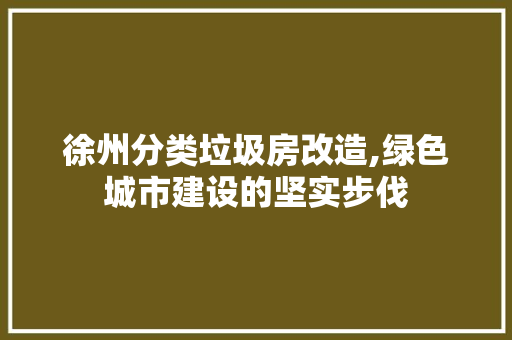 徐州分类垃圾房改造,绿色城市建设的坚实步伐