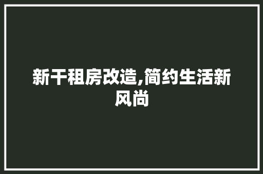 新干租房改造,简约生活新风尚