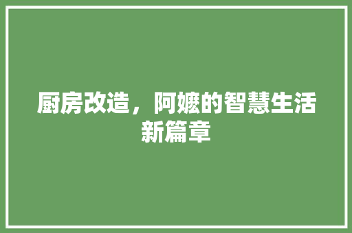 厨房改造，阿嬷的智慧生活新篇章