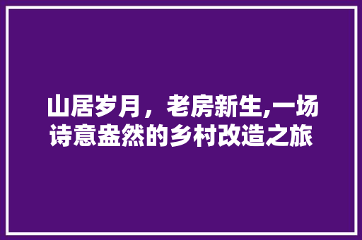 山居岁月，老房新生,一场诗意盎然的乡村改造之旅