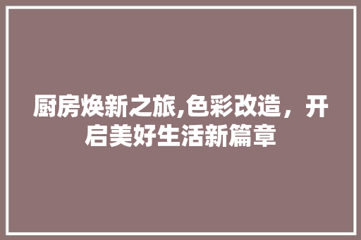 厨房焕新之旅,色彩改造，开启美好生活新篇章