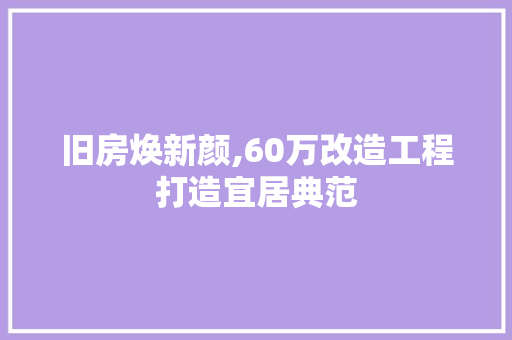 旧房焕新颜,60万改造工程打造宜居典范