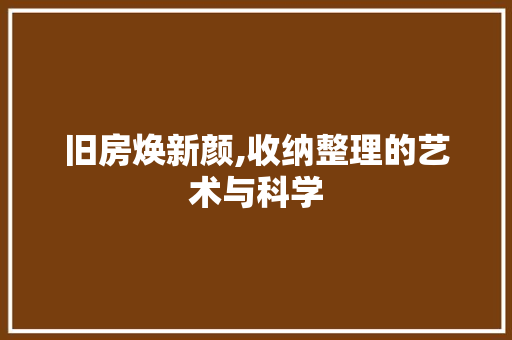 旧房焕新颜,收纳整理的艺术与科学