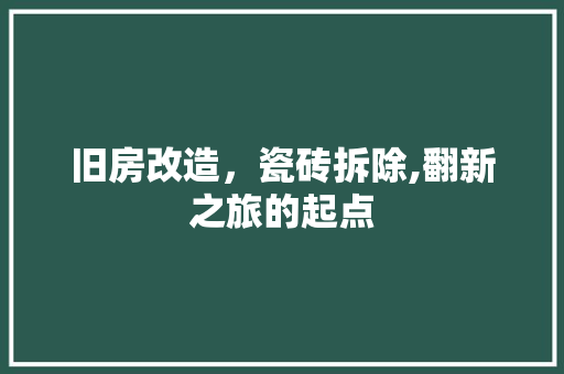 旧房改造，瓷砖拆除,翻新之旅的起点