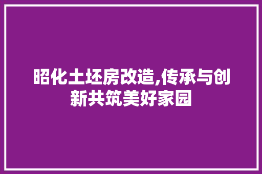 昭化土坯房改造,传承与创新共筑美好家园