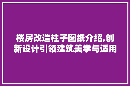 楼房改造柱子图纸介绍,创新设计引领建筑美学与适用性的完美结合