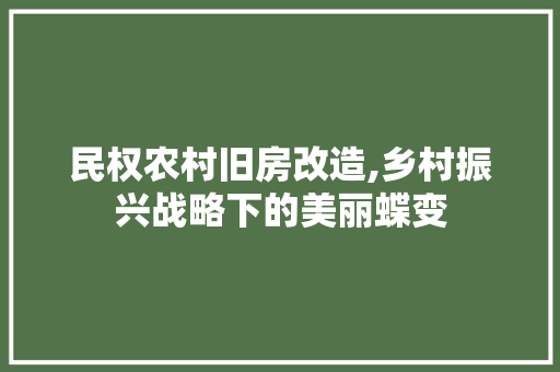 民权农村旧房改造,乡村振兴战略下的美丽蝶变