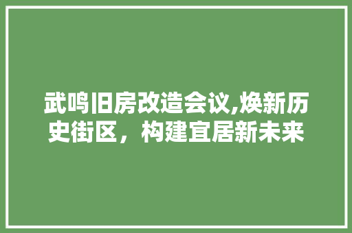 武鸣旧房改造会议,焕新历史街区，构建宜居新未来
