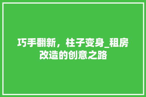 巧手翻新，柱子变身_租房改造的创意之路