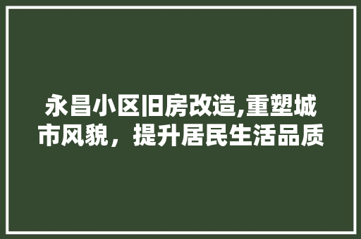 永昌小区旧房改造,重塑城市风貌，提升居民生活品质