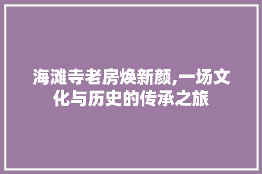 海滩寺老房焕新颜,一场文化与历史的传承之旅