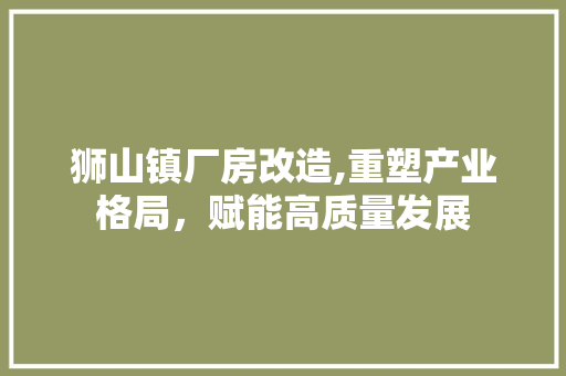 狮山镇厂房改造,重塑产业格局，赋能高质量发展