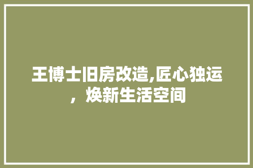 王博士旧房改造,匠心独运，焕新生活空间