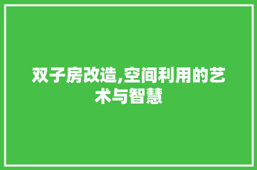 双子房改造,空间利用的艺术与智慧