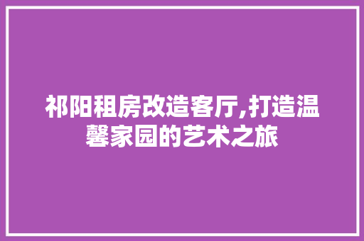 祁阳租房改造客厅,打造温馨家园的艺术之旅
