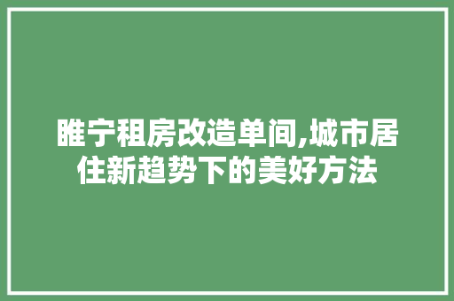 睢宁租房改造单间,城市居住新趋势下的美好方法